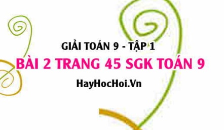 Giải bài 2 trang 45 SGK Toán 9 tập 1